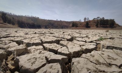 estrés hídrico sequía