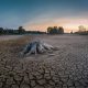 estrés hídrico sequía