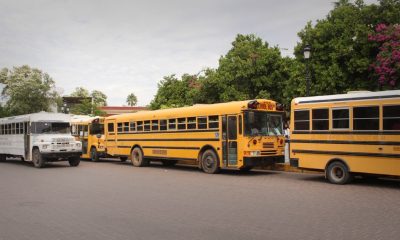 Camiones escolares