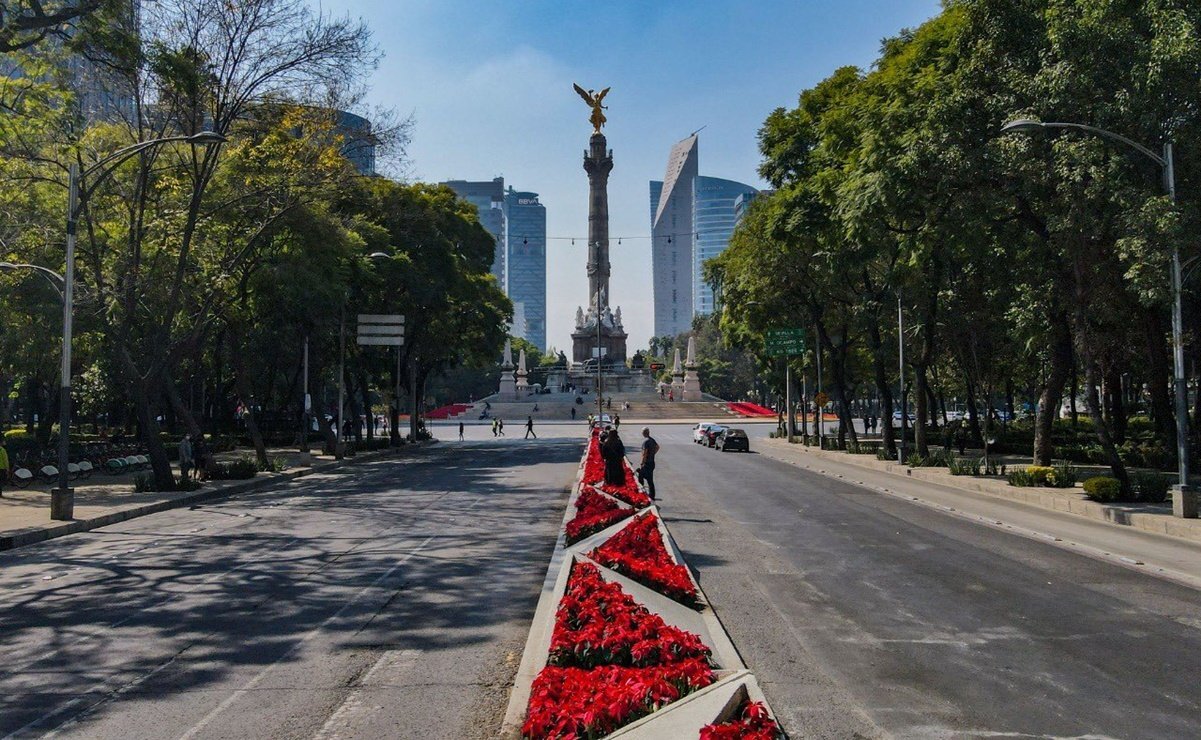 Llegan las Nochebuenas y pintan de rojo la Ciudad de México - Punto MX