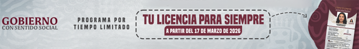 LICENCIA DE CONDUCIR