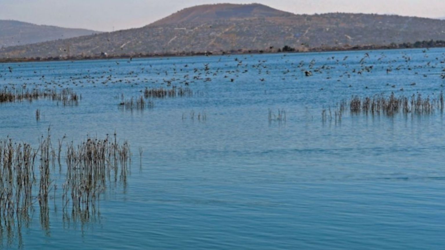 ¿en Qué Consiste El Decreto Que Declara área Natural Protegida Al Lago De Texcoco Punto Mxemk 6276