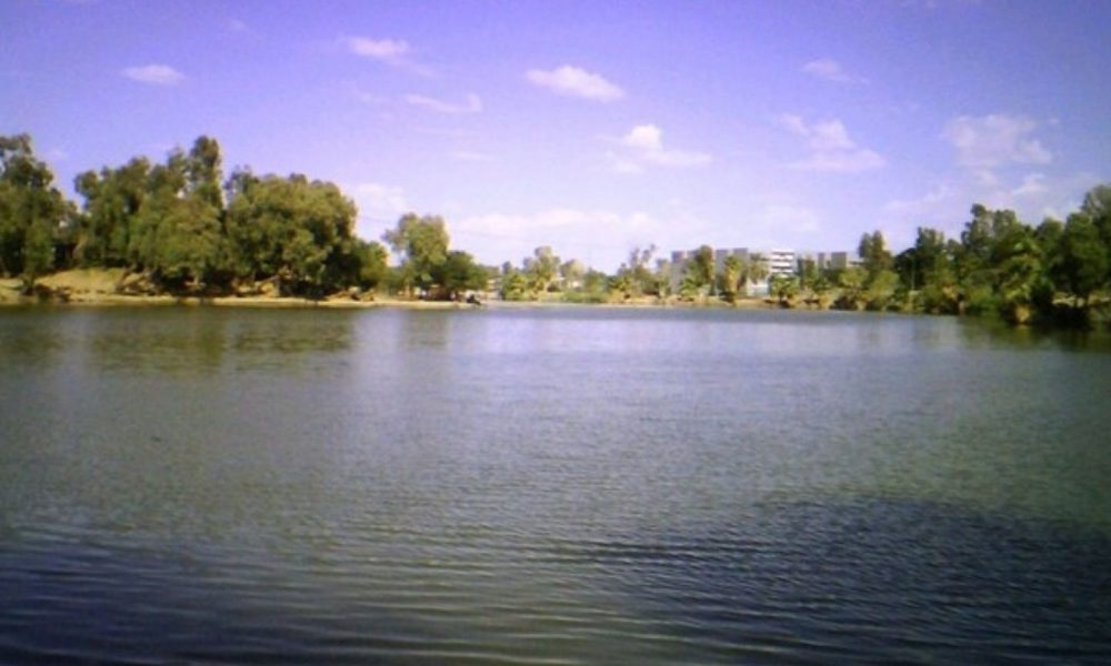 ¿en Qué Consiste El Decreto Que Declara área Natural Protegida Al Lago De Texcoco Punto Mxemk 4783