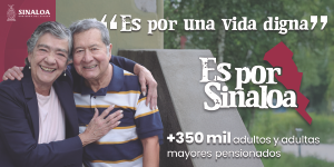 BANNER GOBIERNO DEL ESTADO
