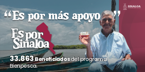 BANNER GOBIERNO DEL ESTADO