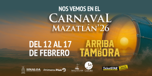 BANNER CARNAVAL MZT GOB EDO