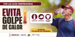 BANNER OLA DE CALOR