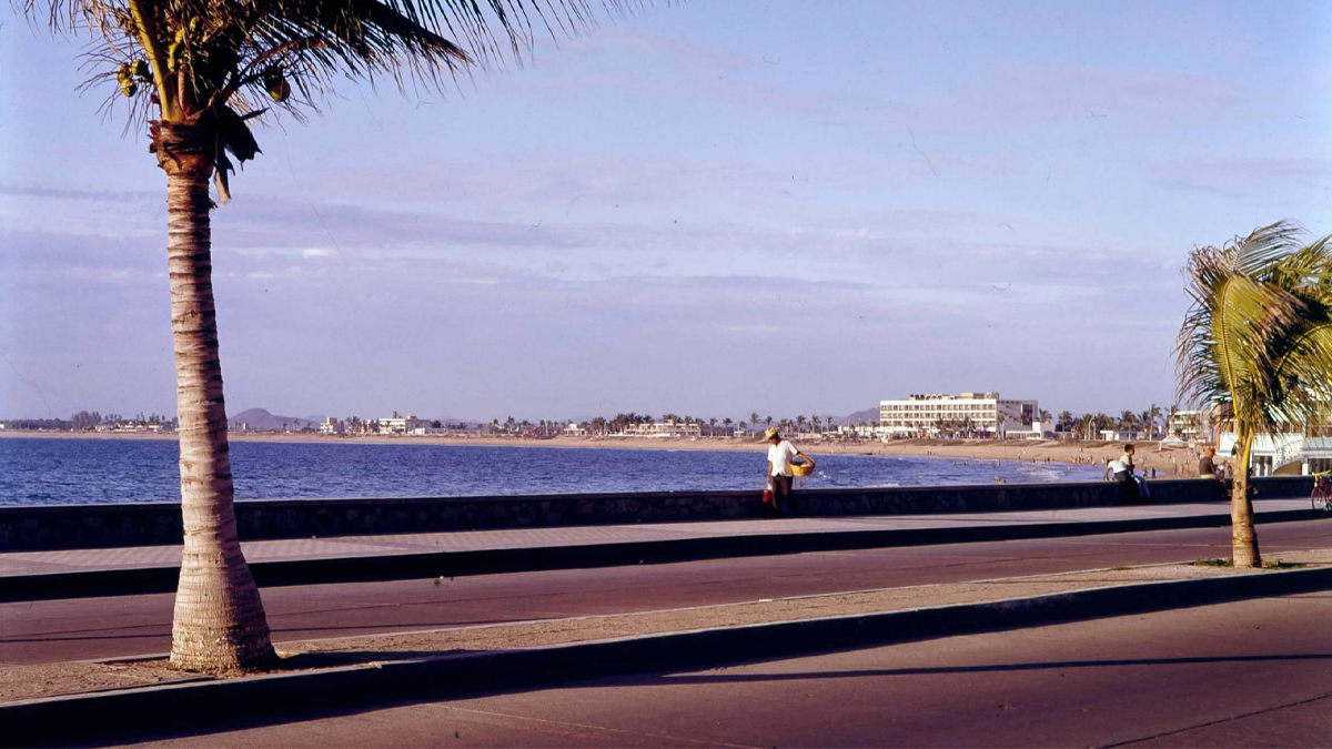 Avenida del Mar Mazatlán