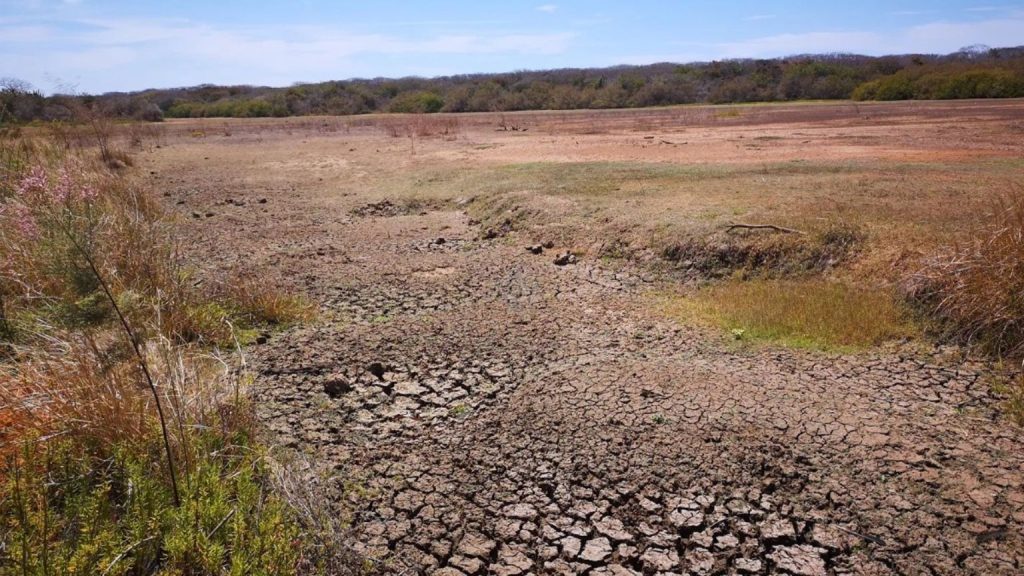 Sequía en Sinaloa