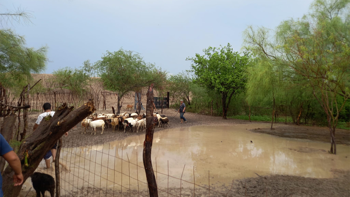 Más De 300 Viviendas En Sinaloa Han Sido Afectadas Por Las Lluvias