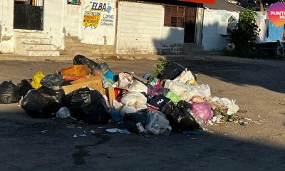 Recolección de basura mazatlán
