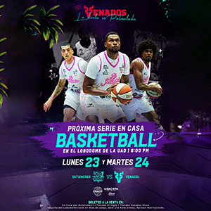 BANNER VENADOS BASKET