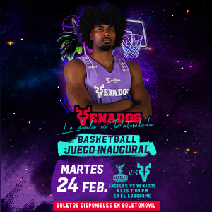 BANNER VENADOS BASQUETBOL
