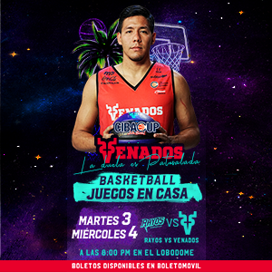 BANNER VENADOS BASKET