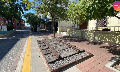Calle del Oro Mazatlán