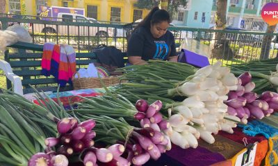 Mercado Orgánico de Mazatlán