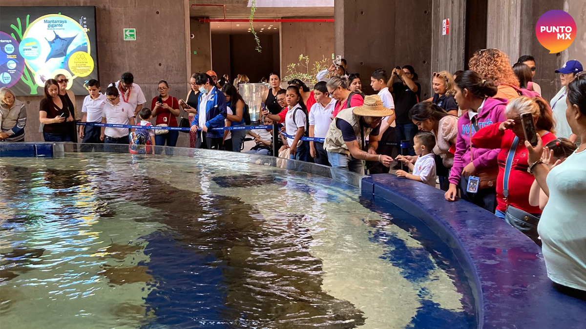 ACUARIO MAZATLÁN LUGAR EDUCATIVO