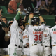 Leones de Yucatán Olmecas de Tabasco Liga Mexicana de Beisbol