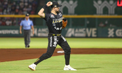 Leones de Yucatán Liga Mexicana de Beisbol