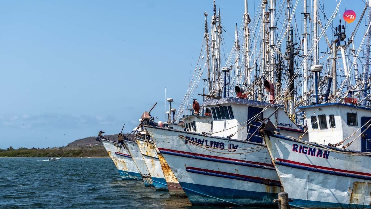 TEMPORADA DE CAPTURAS DE ALTAMAR MAZATLÁN