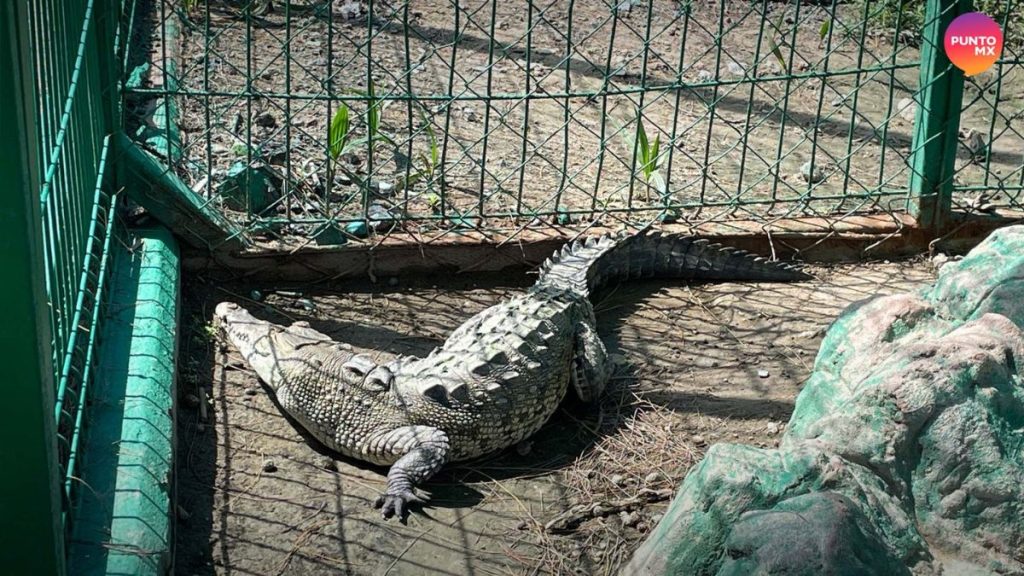 HOSPITAL DE FAUNA SILVESTRE ACUARIO MAR DE CORTÉS