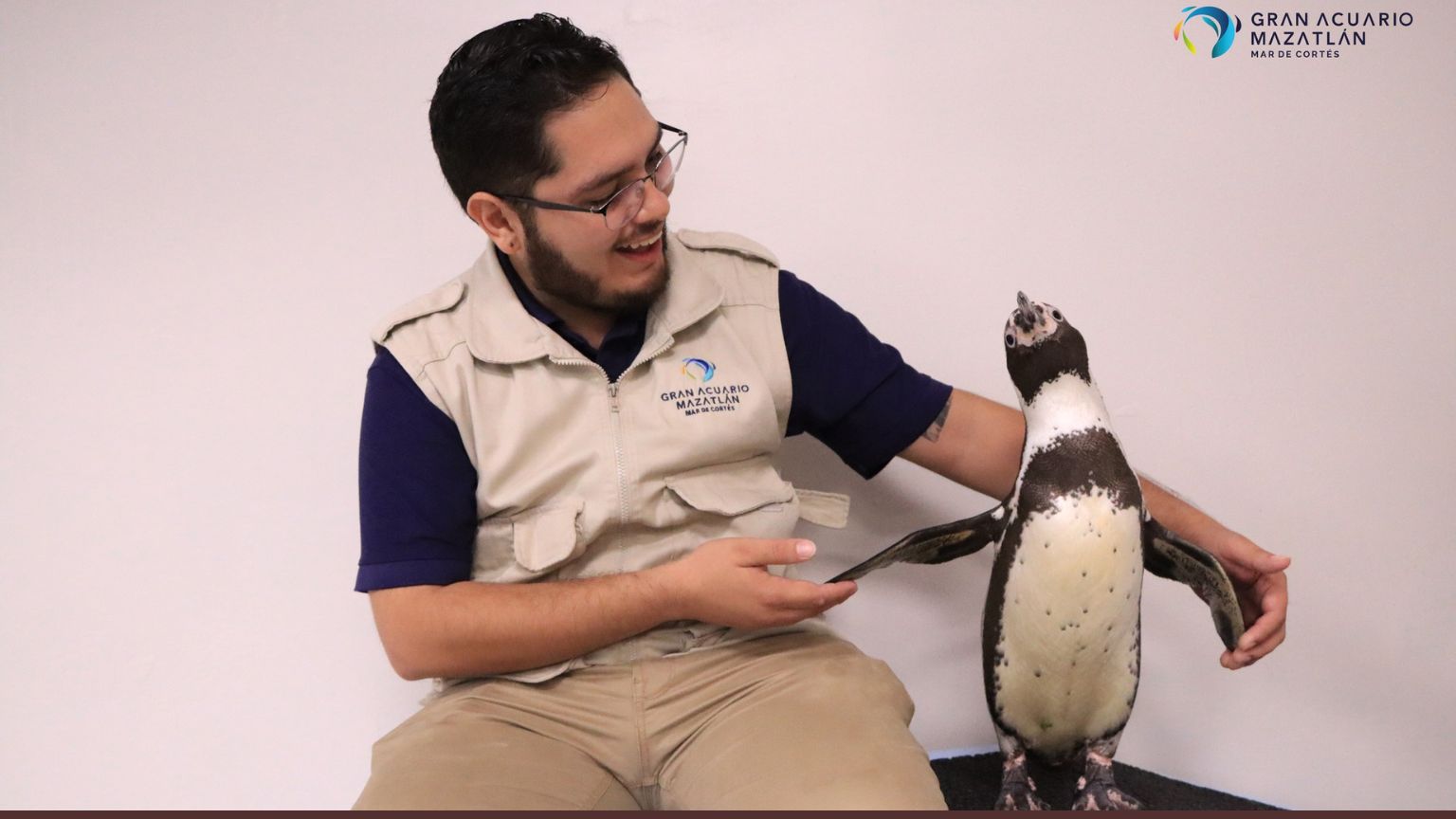 VERANO GRAN ACUARIO MAZATLÁN