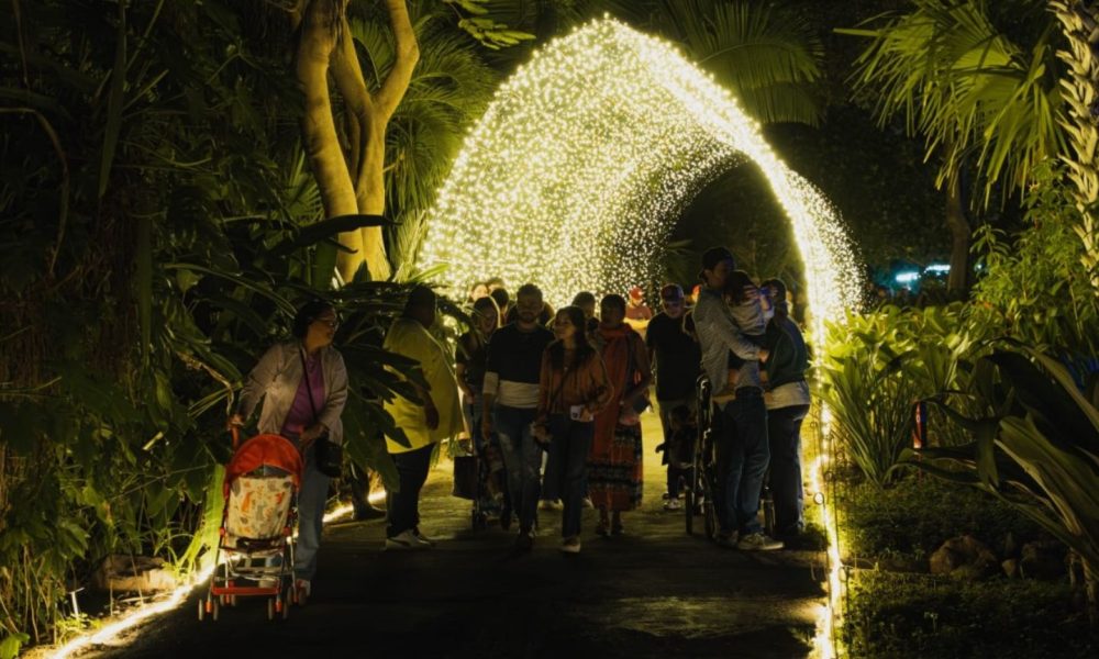 Jardín Botánico de Culiacán ya decoró para Navidad - Punto MX