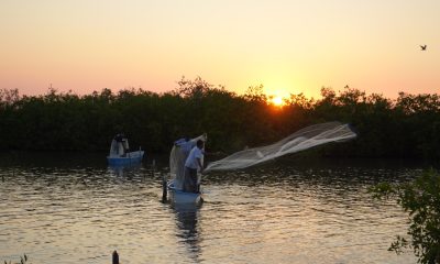 SEDECTUR FALTAN APOYOS PESCA