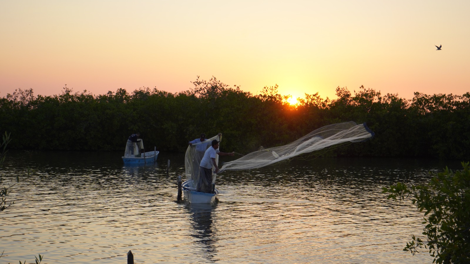 SEDECTUR FALTAN APOYOS PESCA