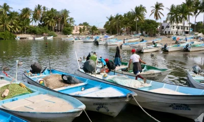 ISLA DE LA PIEDRA