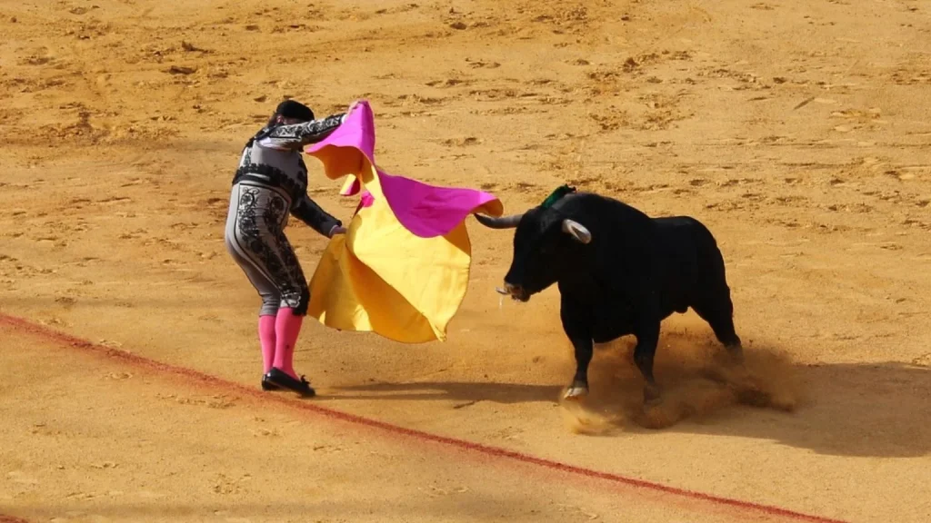 Corrida de toros