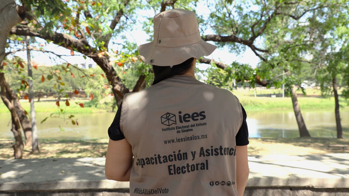 IEES ELECCIONES SINALOA