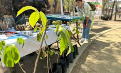 EXPO AMBIENTAL SON PLAYAS