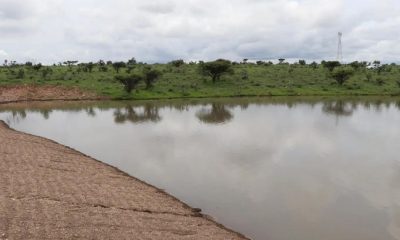 GANADEROS DE SINALOA SEQIÍA