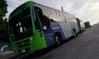 ELECCIONES MAZATLÁN TRANSPORTE URBANO