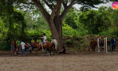 EQUINOTERAPIA