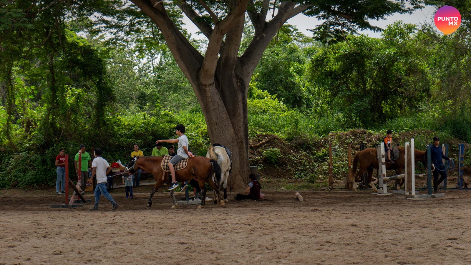 EQUINOTERAPIA