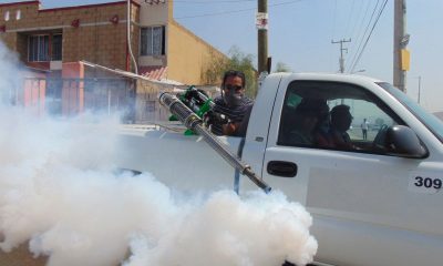 PREVENIR ACABAR DENGUE SINALOA