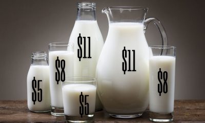 UNIFICACIÓN PRECIO LECHE