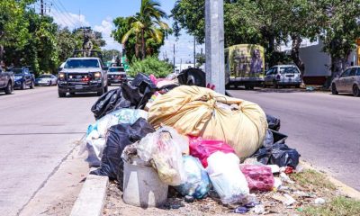 SACA BASURA HORARIO