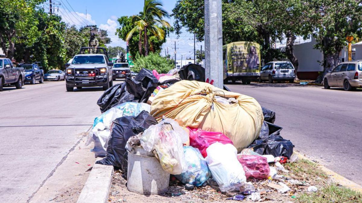 SACA BASURA HORARIO