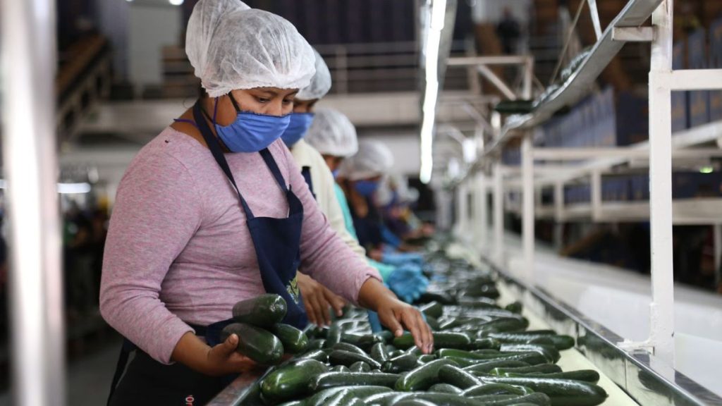 SINALOA LÍDER ECONÓMICO NACIONAL