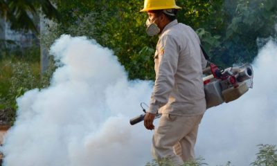 DENGUE EN MAZATLÁN