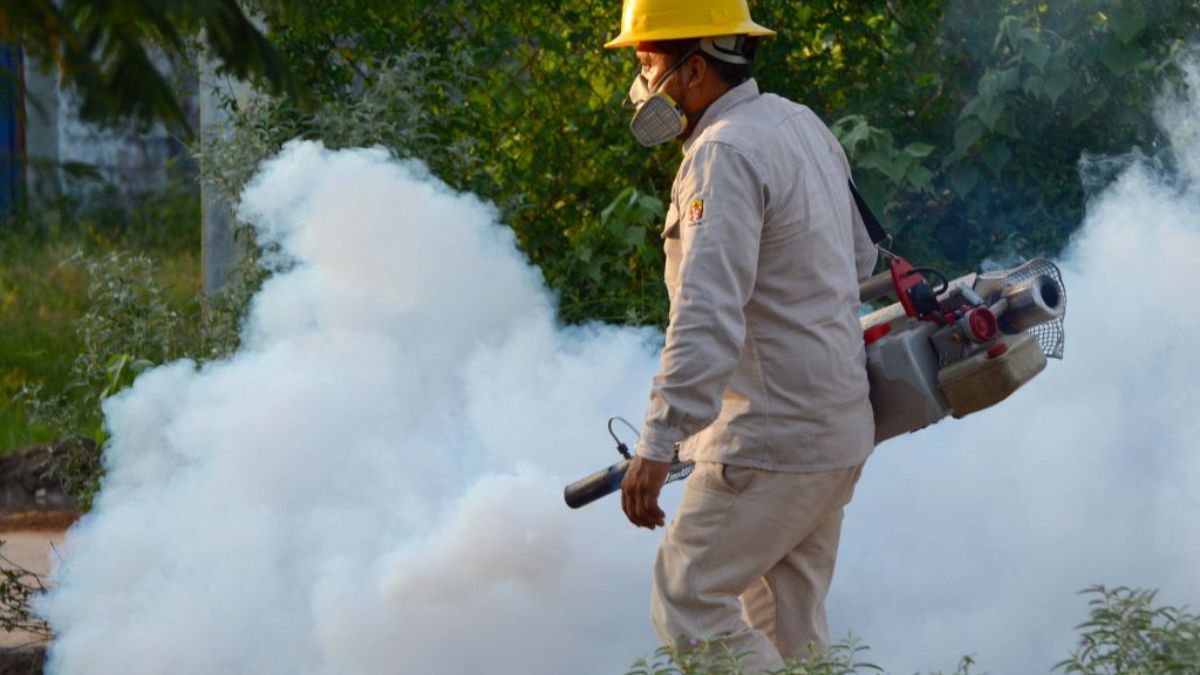 DENGUE EN MAZATLÁN