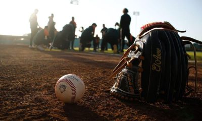 LIGA MEXICANA DE BEISBOL