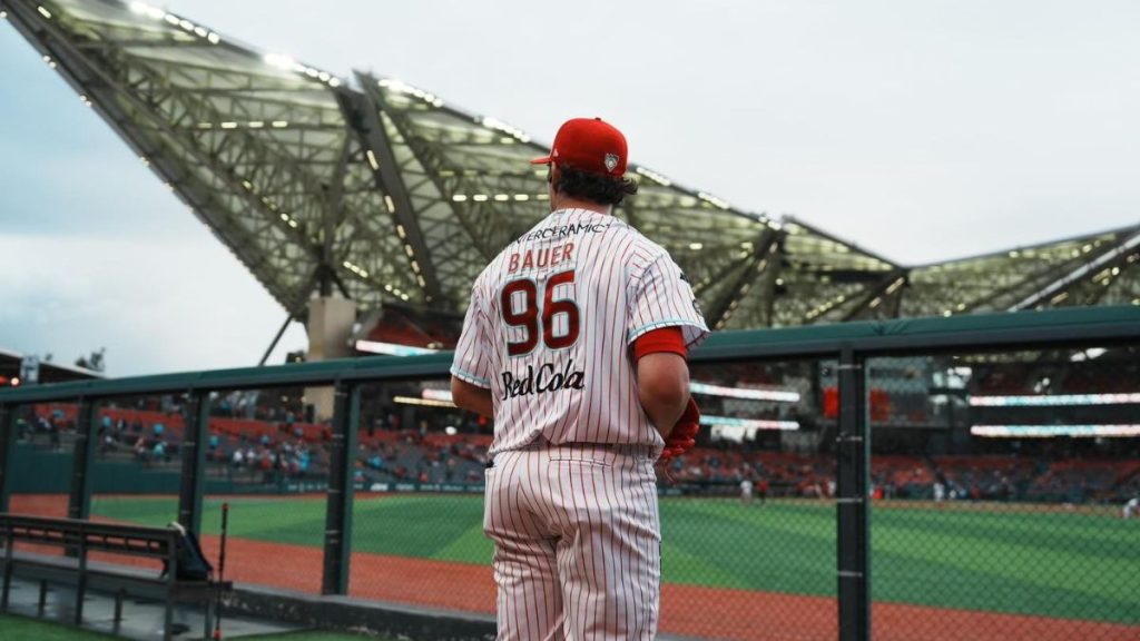 LIGA MEXICANA DE BEISBOL