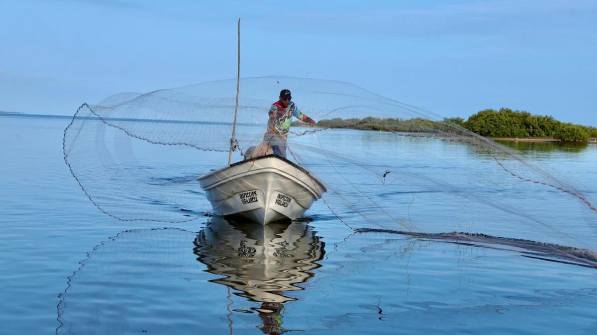 DISPERSAN RECURSOS DE BIENPESCA