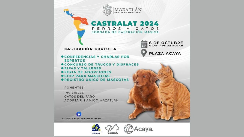 CASTRACIÓN MASIVA DE MASCOTAS