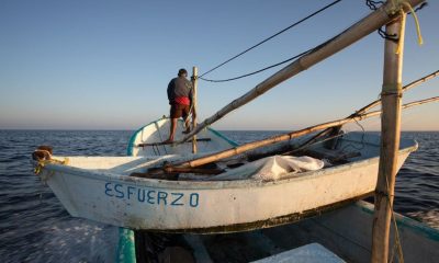 OCEANA MÉXICO PESCA