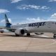 PRIMER VUELO INVERNAL MAZATLÁN